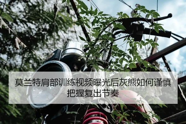 莫兰特肩部训练视频曝光后灰熊如何谨慎把握复出节奏